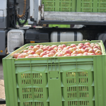 Servicio desde una caja hasta un camión completo
