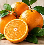 Naranjas / Oranges