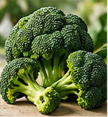 Brócoli / Broccoli
