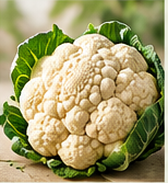 Coliflor / Cauliflower