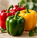 Pimiento / Peppers